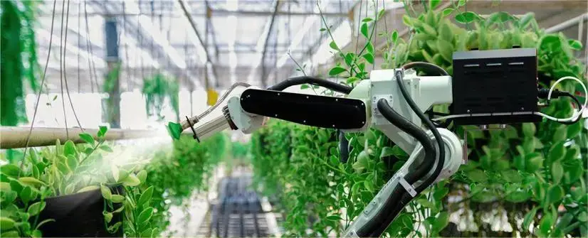The Role of UHF RFID Readers in Smart Agriculture
